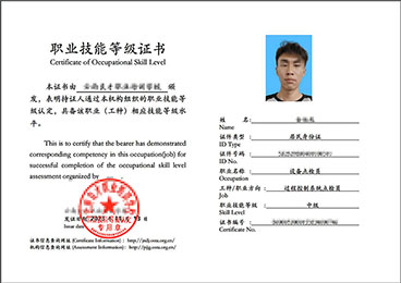 过程控制系统点检员中级职业技能等级证书